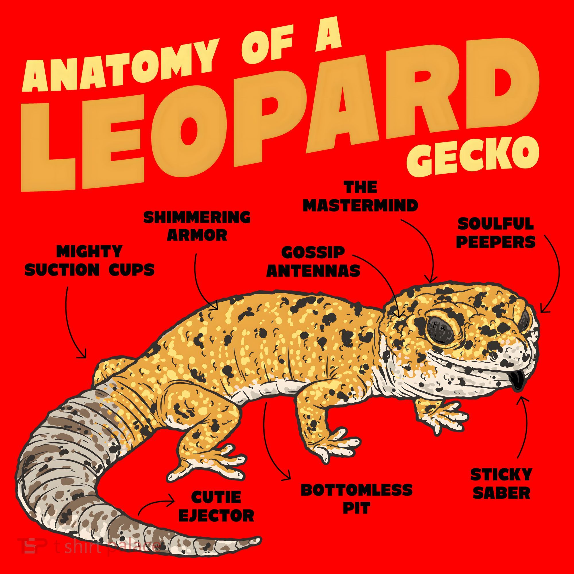 Leopard Gecko Anatomy Santa Hat