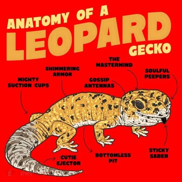 Leopard Gecko Anatomy Santa Hat