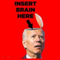 Let's Go Brandon Insert Brain Here Santa Hat thumb 1