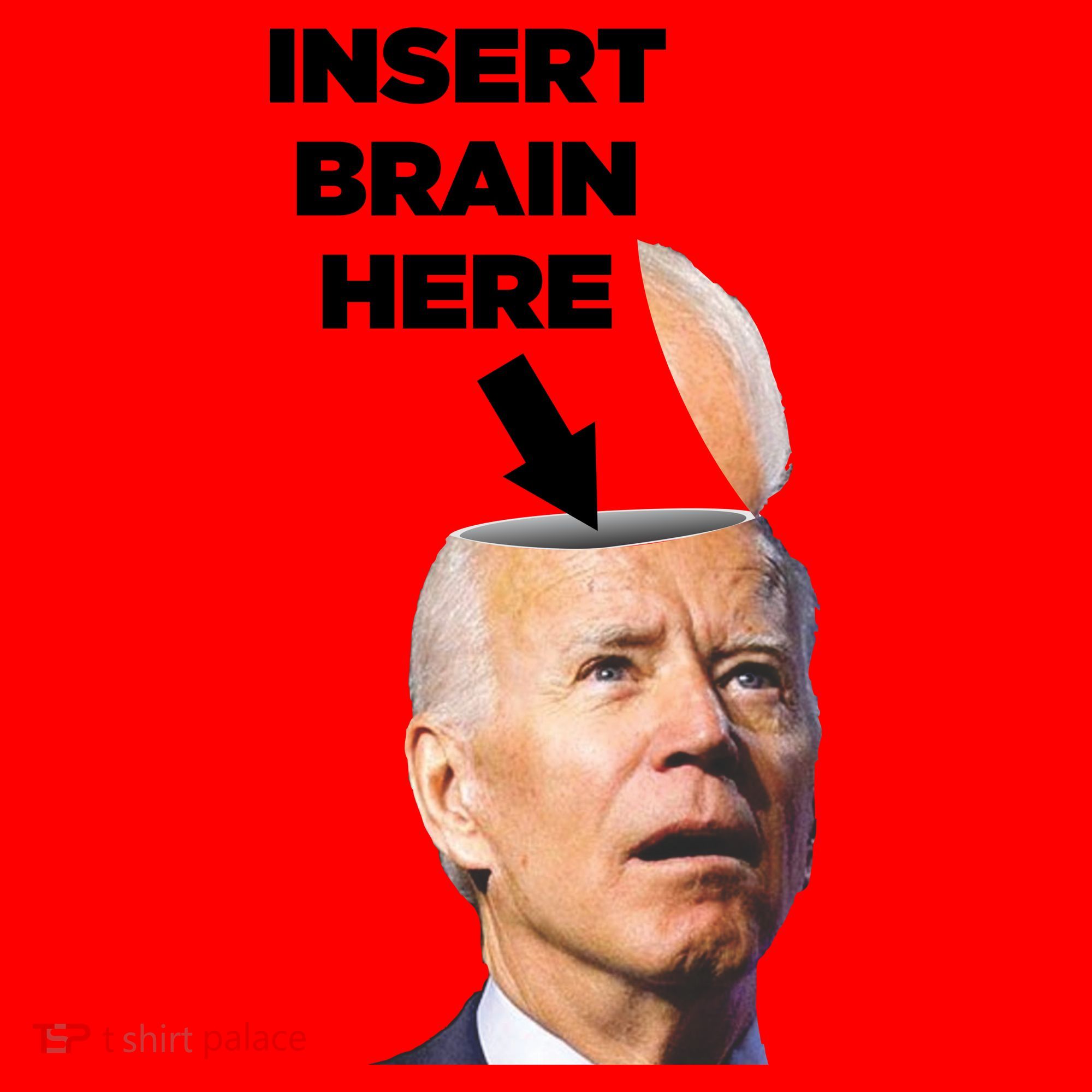Let's Go Brandon Insert Brain Here Santa Hat