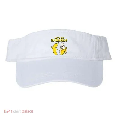 Visor