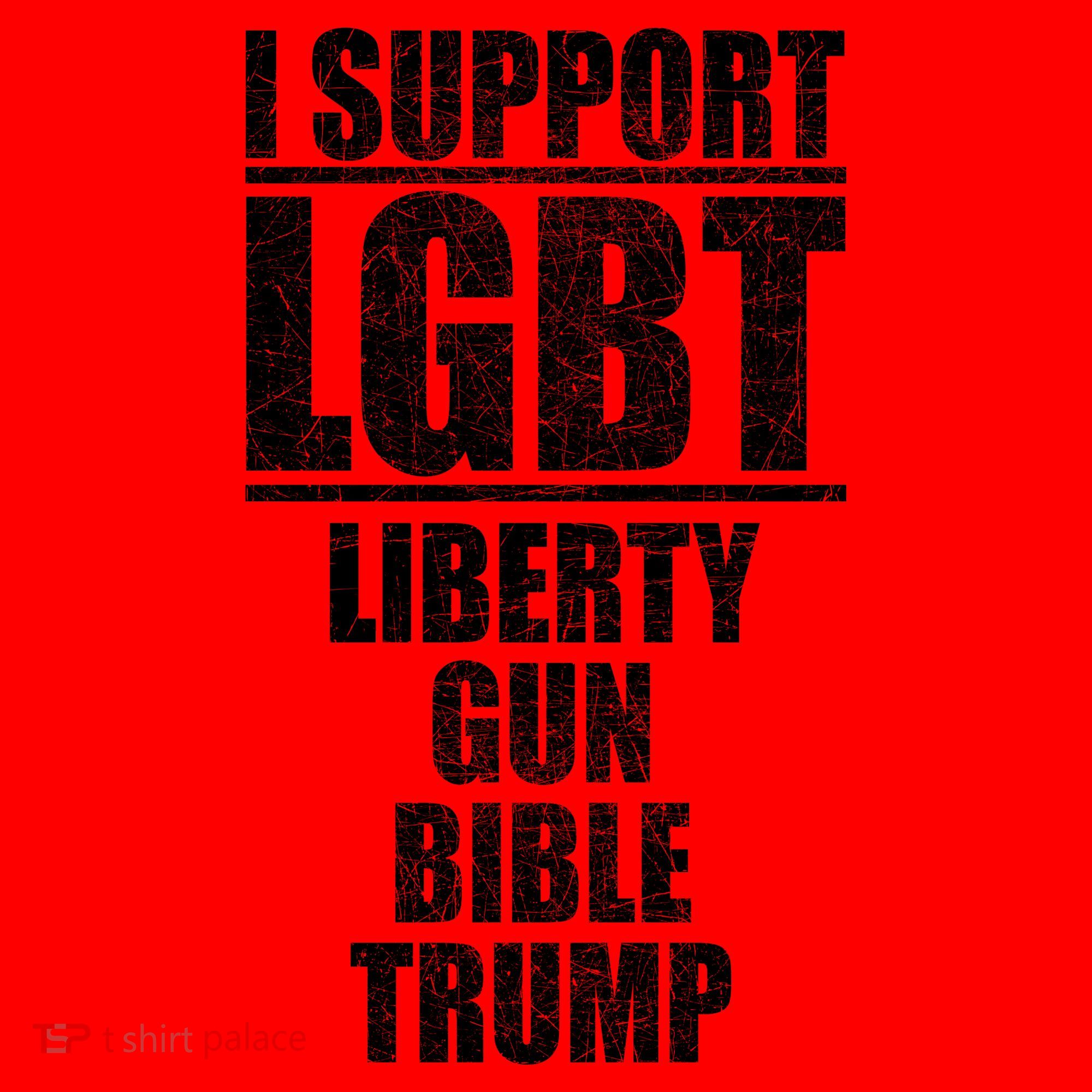 LGBT Liberty Gun Bible Trump Santa Hat