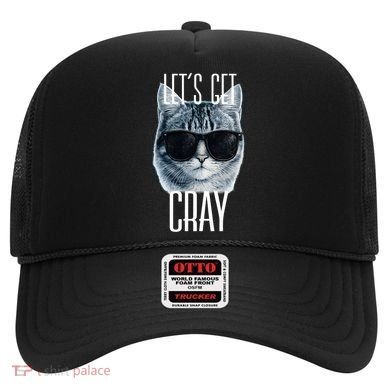 Let's Get Cray Funny Cat Meme Hat