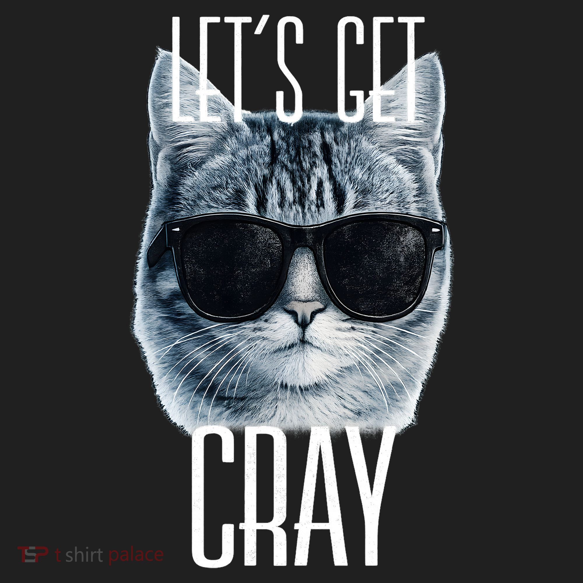 Let's Get Cray Funny Cat Meme Hat