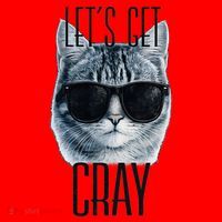 Let's Get Cray Funny Cat Meme Santa Hat thumb 1