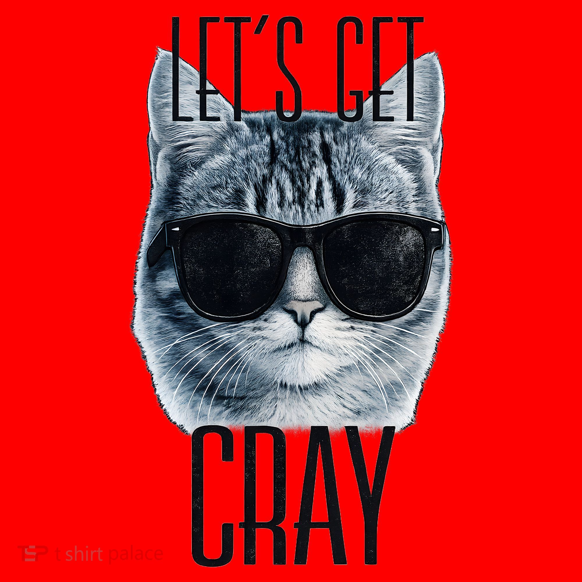 Let's Get Cray Funny Cat Meme Santa Hat