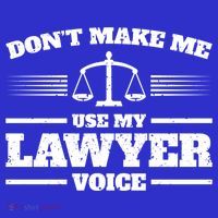 Lawyer Gift DonT Make Me Use My Lawyer Voice Gift Kids Sweatshirt thumb 2