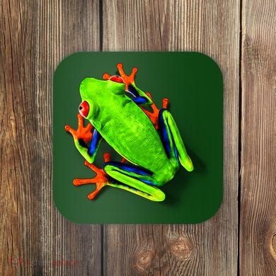 Little Green Frog Coaster