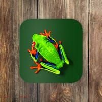 Little Green Frog Coaster thumb 0