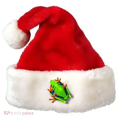 Santa Hat
