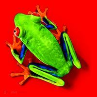 Little Green Frog Santa Hat thumb 1