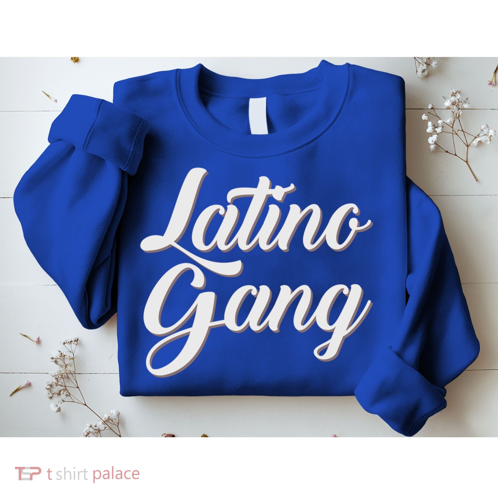 Latino Gang Latin Trap Hip Hop Rap Hispanic Cholo Grafitti Great Gift Sweatshirt