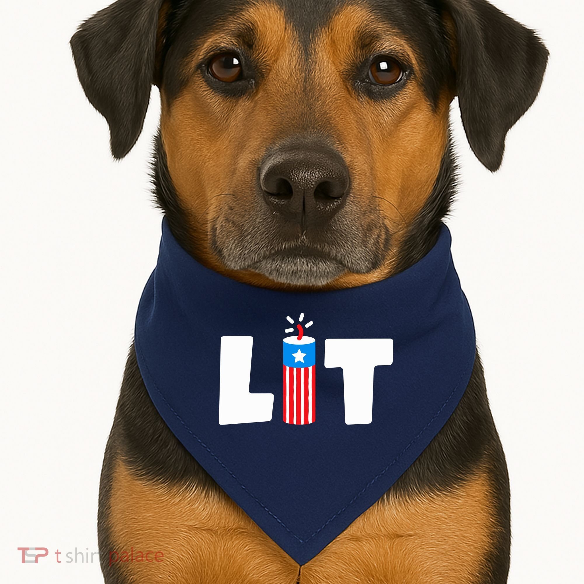 Lets Get Lit Fireworks Firecracker Funny Fourth 4th Of July USA-Made Doggie Bandana