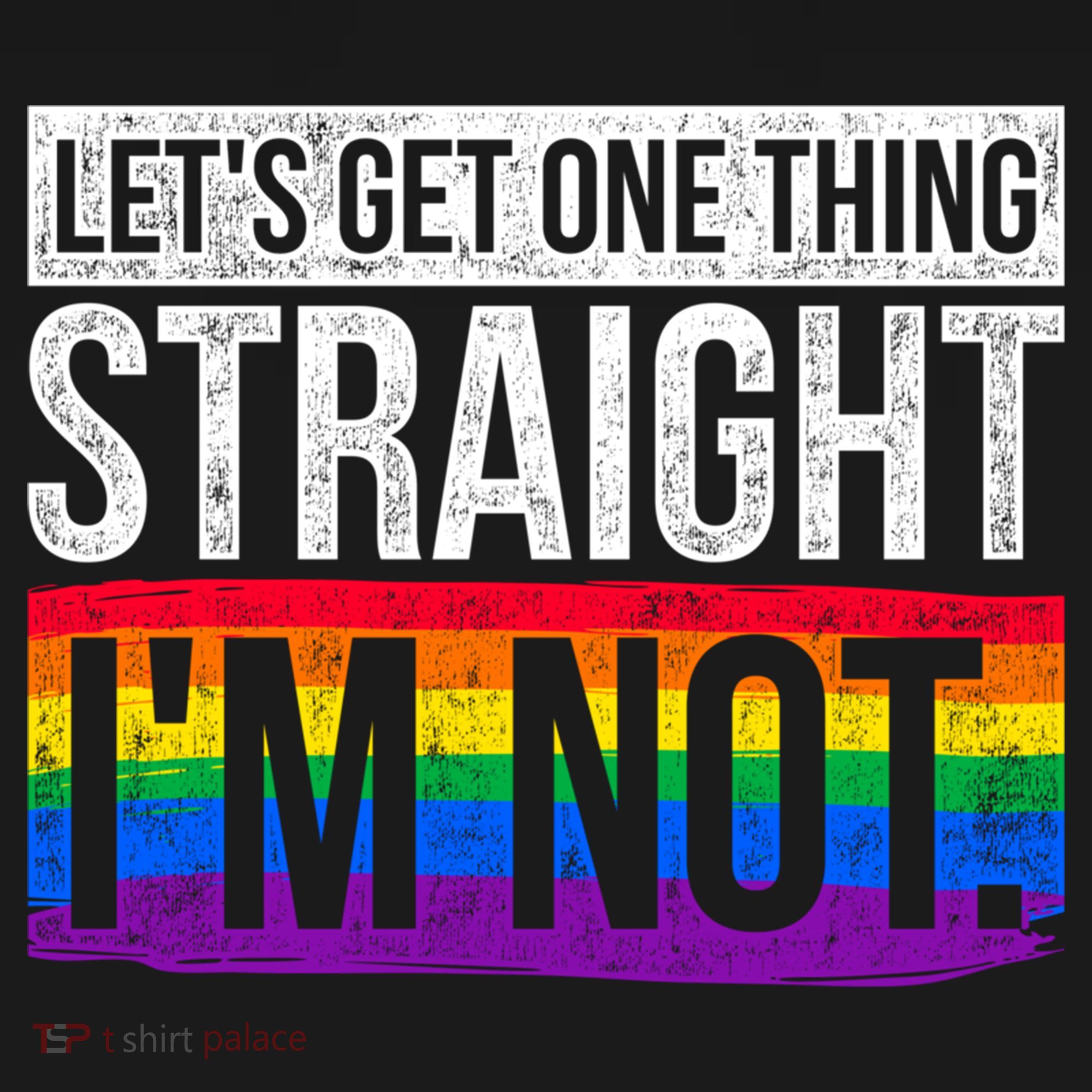 Lets Get One Thing Straight Im Not Lgbt Funny Gift Ornament