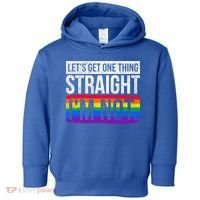Lets Get One Thing Straight Im Not Lgbt Funny Gift Toddler Hoodie thumb 0