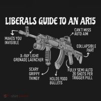 Liberals Guide To An Ar15 Funny Anti Liberal Pro Gun Ar15 2a Polo thumb 3