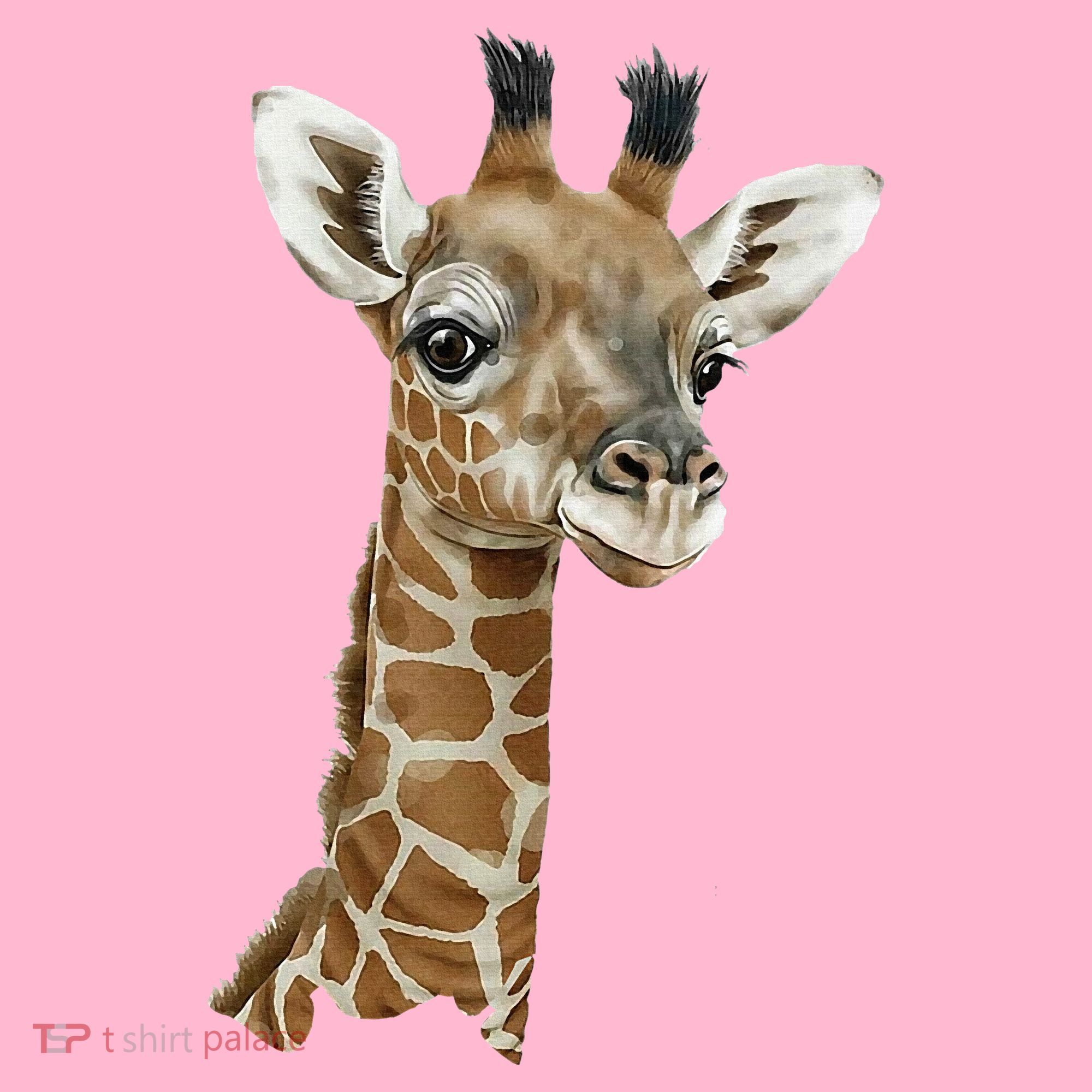 Love Giraffes Wo Giraffe Lovers Coaster