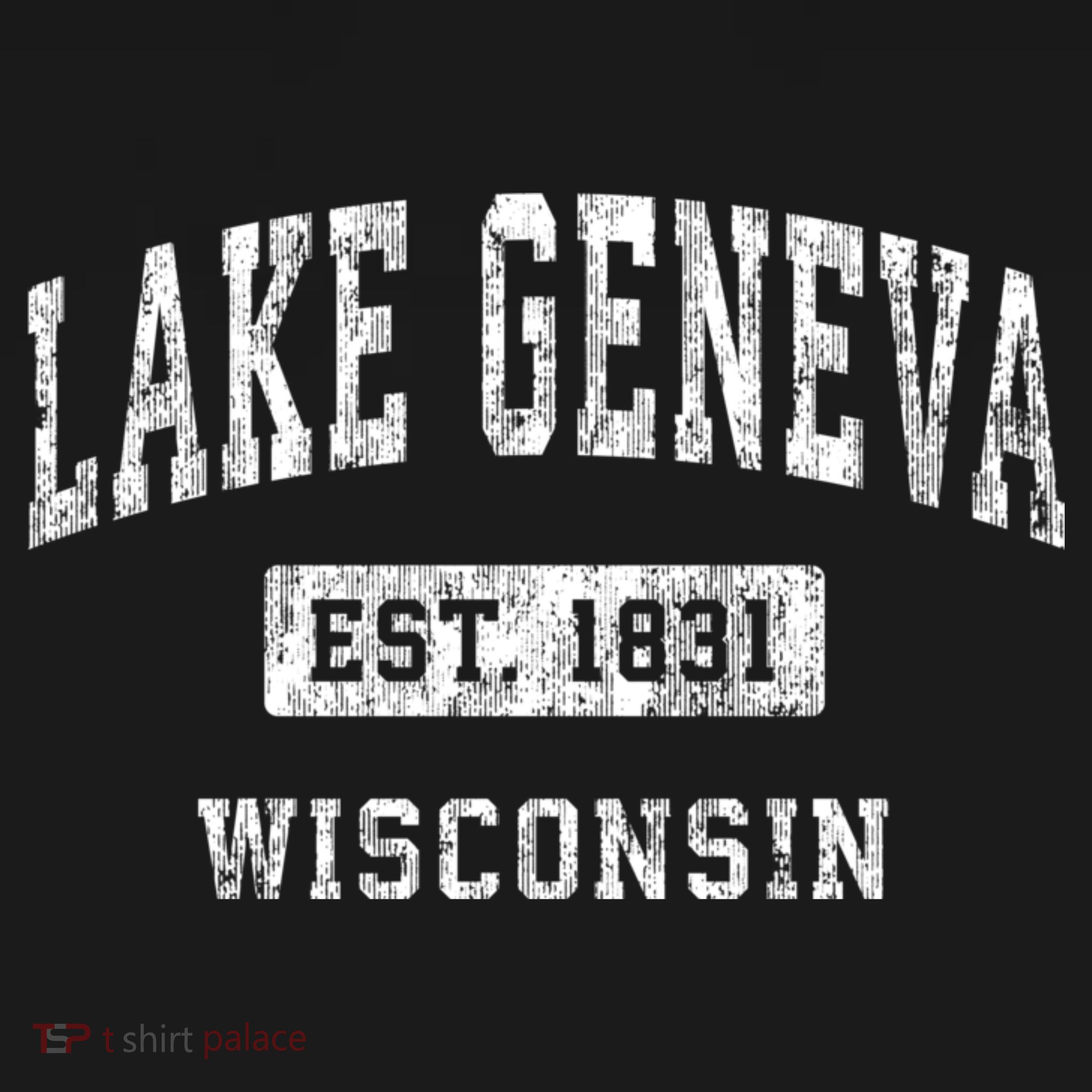 Lake Geneva Wisconsin Wi Vintage Established Sports T-Shirt