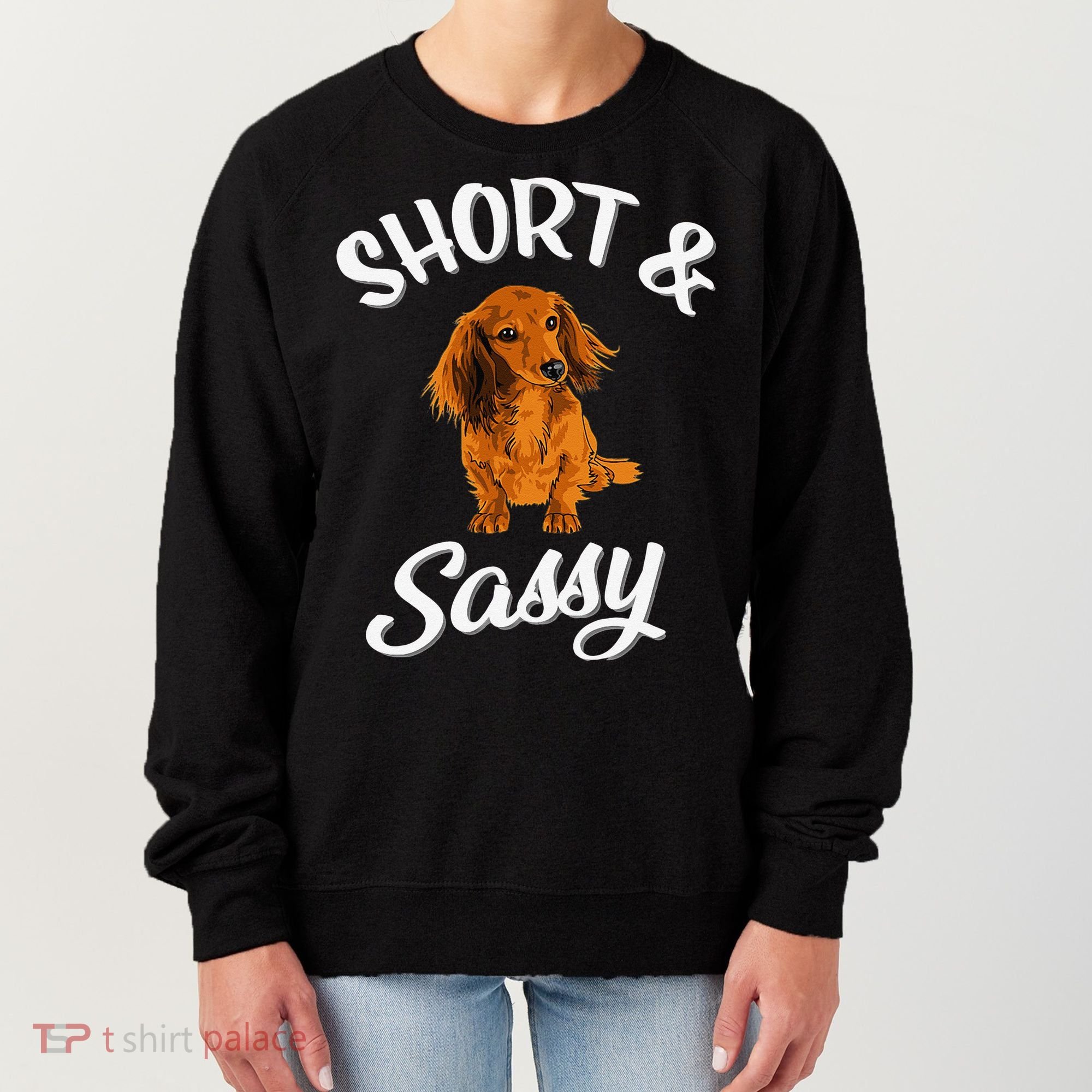Long Haired Dachshund funny animal lovers Women's Sweatshirt