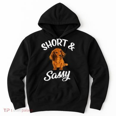 Long Haired Dachshund funny animal lovers Hoodie