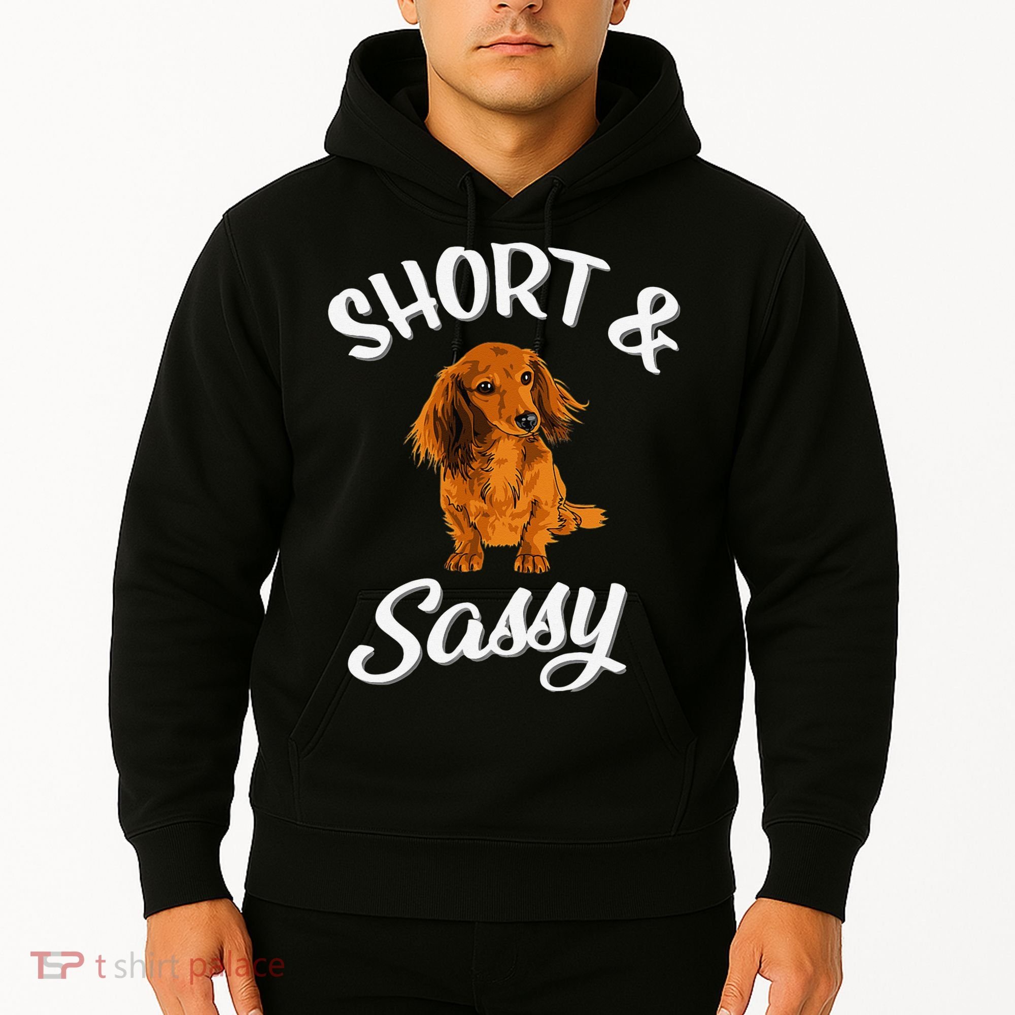 Long Haired Dachshund funny animal lovers Hoodie