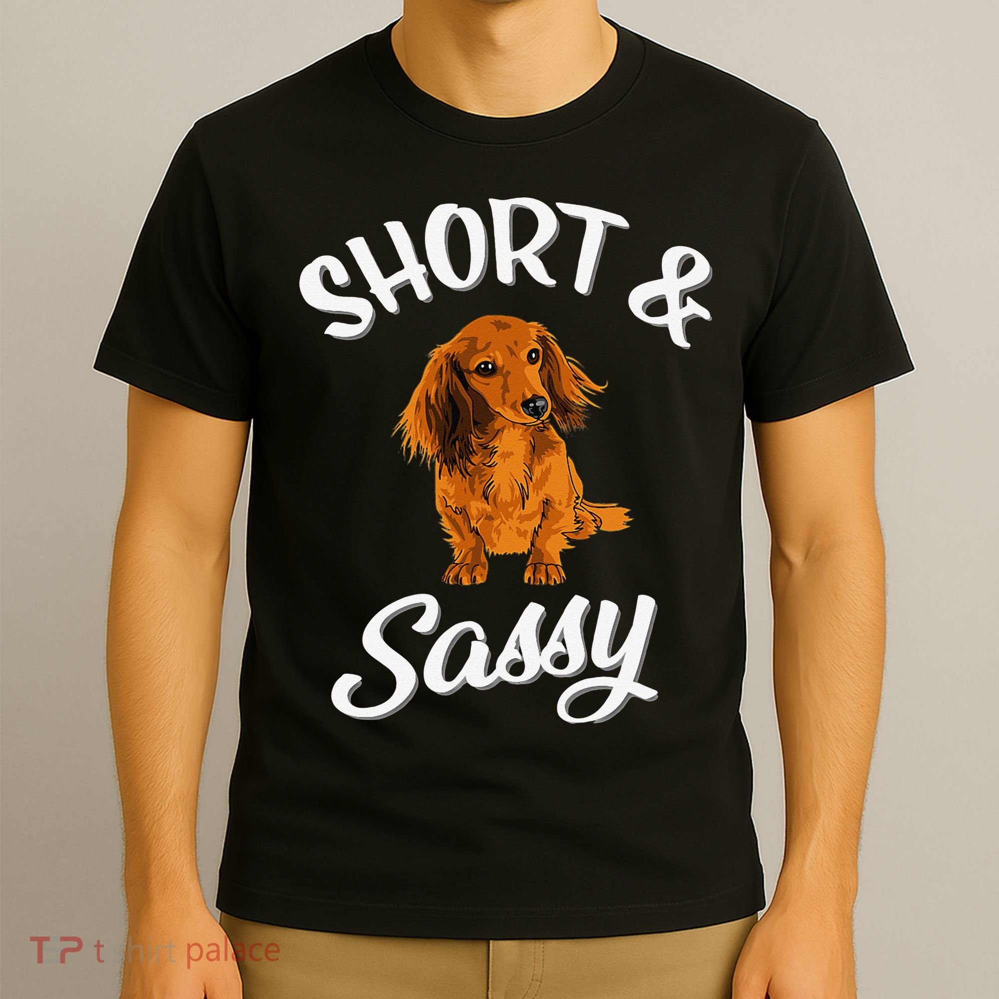 Long Haired Dachshund funny animal lovers T-Shirt