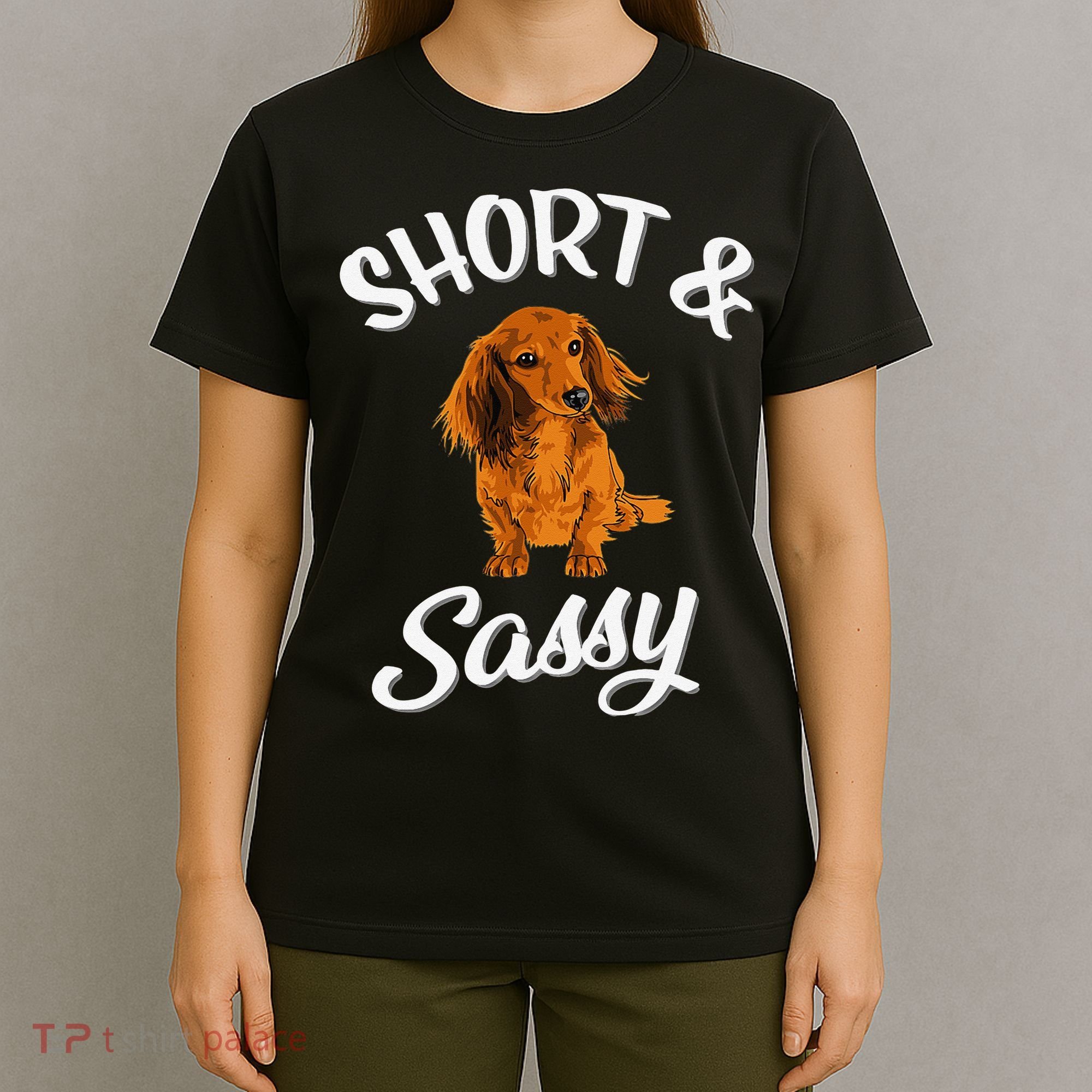 Long Haired Dachshund funny animal lovers T-Shirt