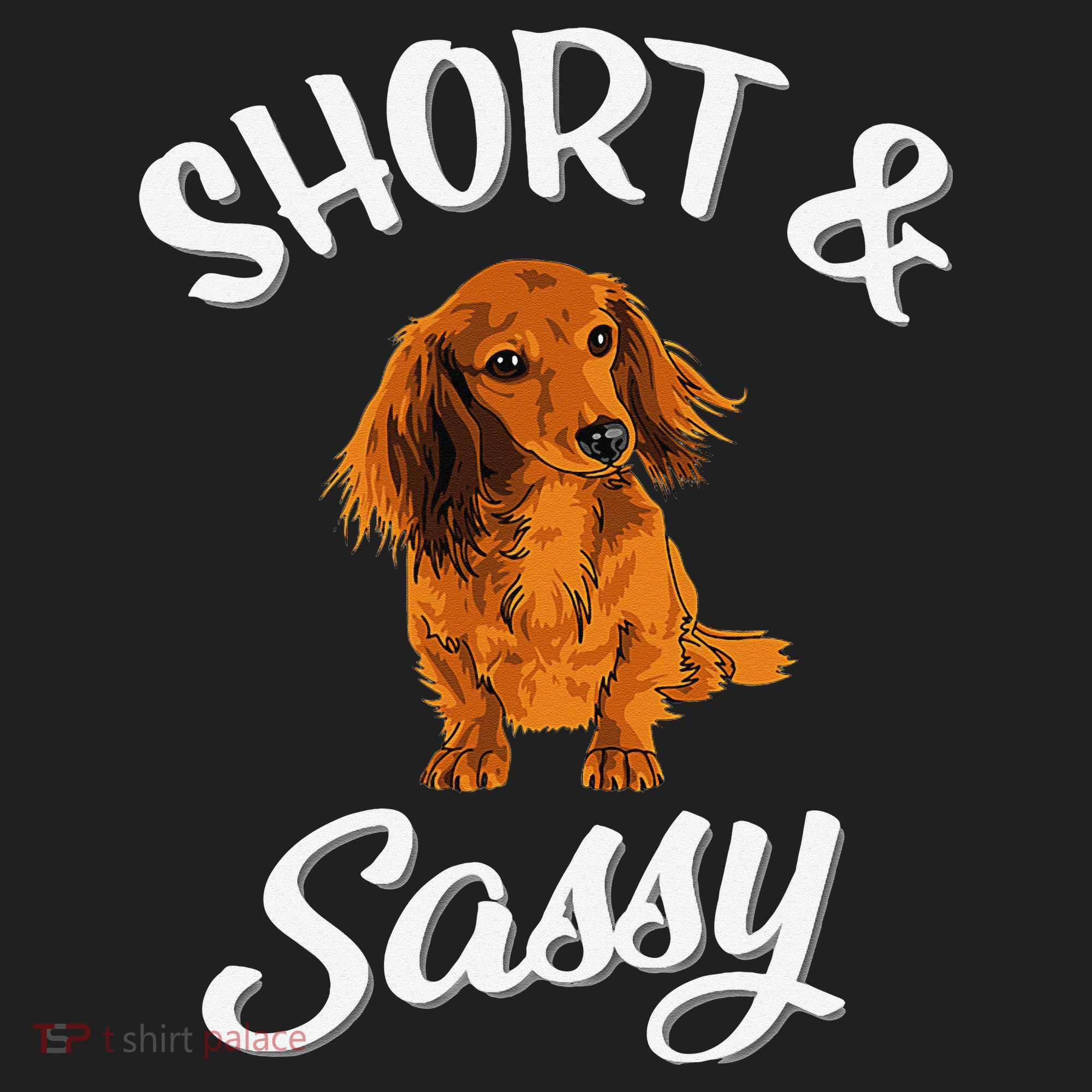 Long Haired Dachshund funny animal lovers Beanie