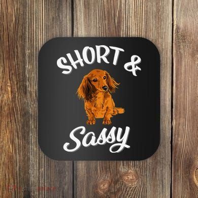 Long Haired Dachshund funny animal lovers Coaster