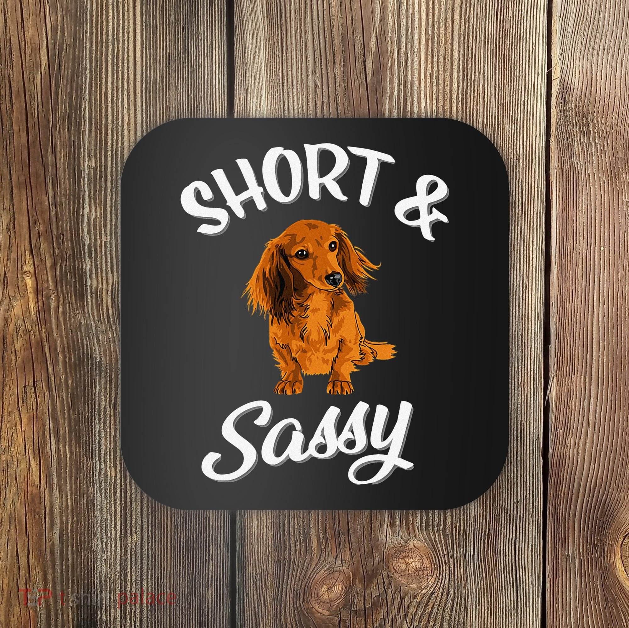 Long Haired Dachshund funny animal lovers Coaster
