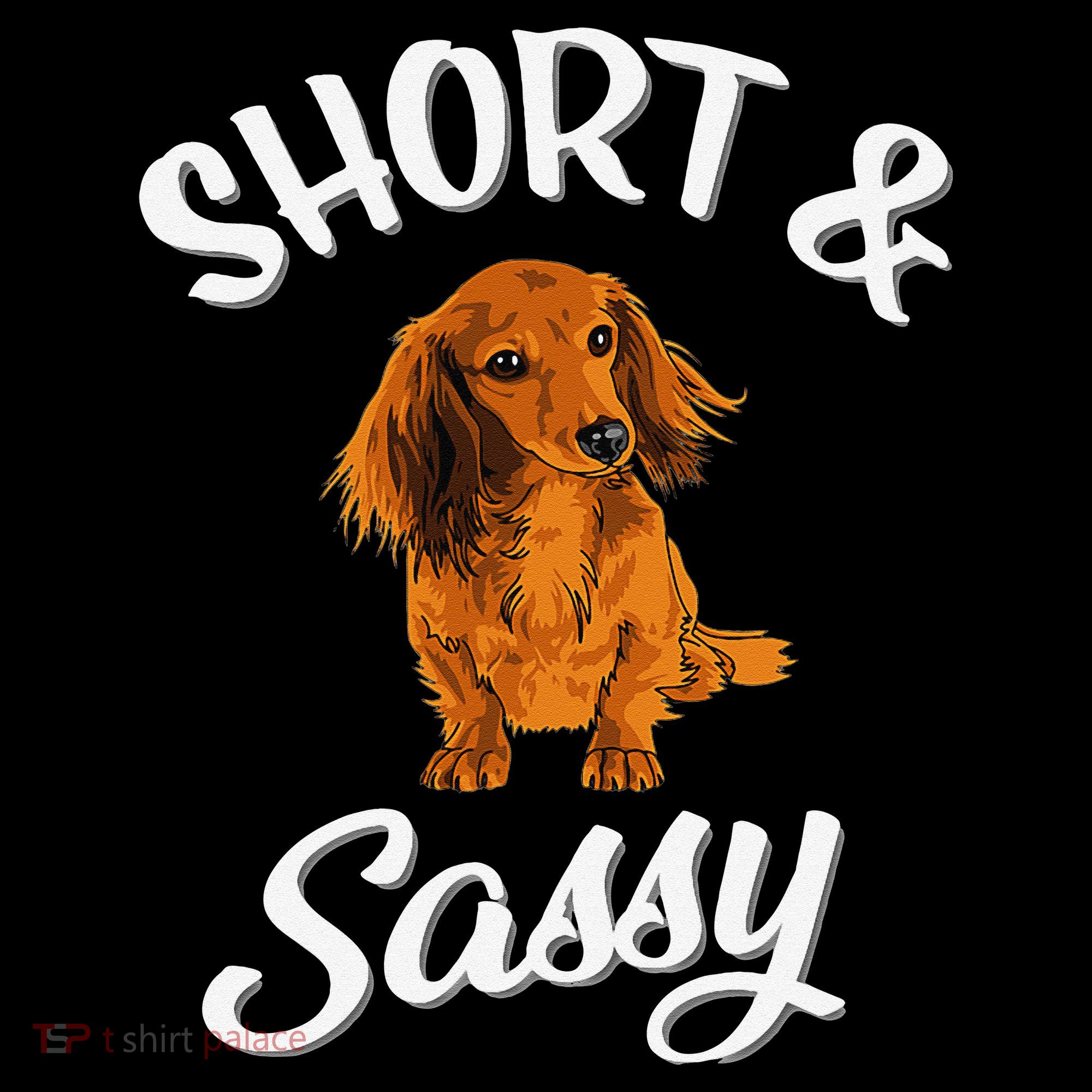 Long Haired Dachshund funny animal lovers Women's Hoodie