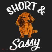 Long Haired Dachshund funny animal lovers Tumbler thumb 3