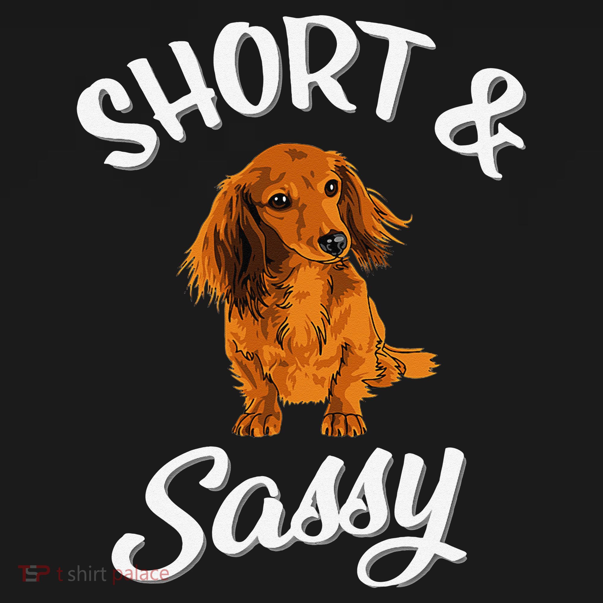 Long Haired Dachshund funny animal lovers Mousepad