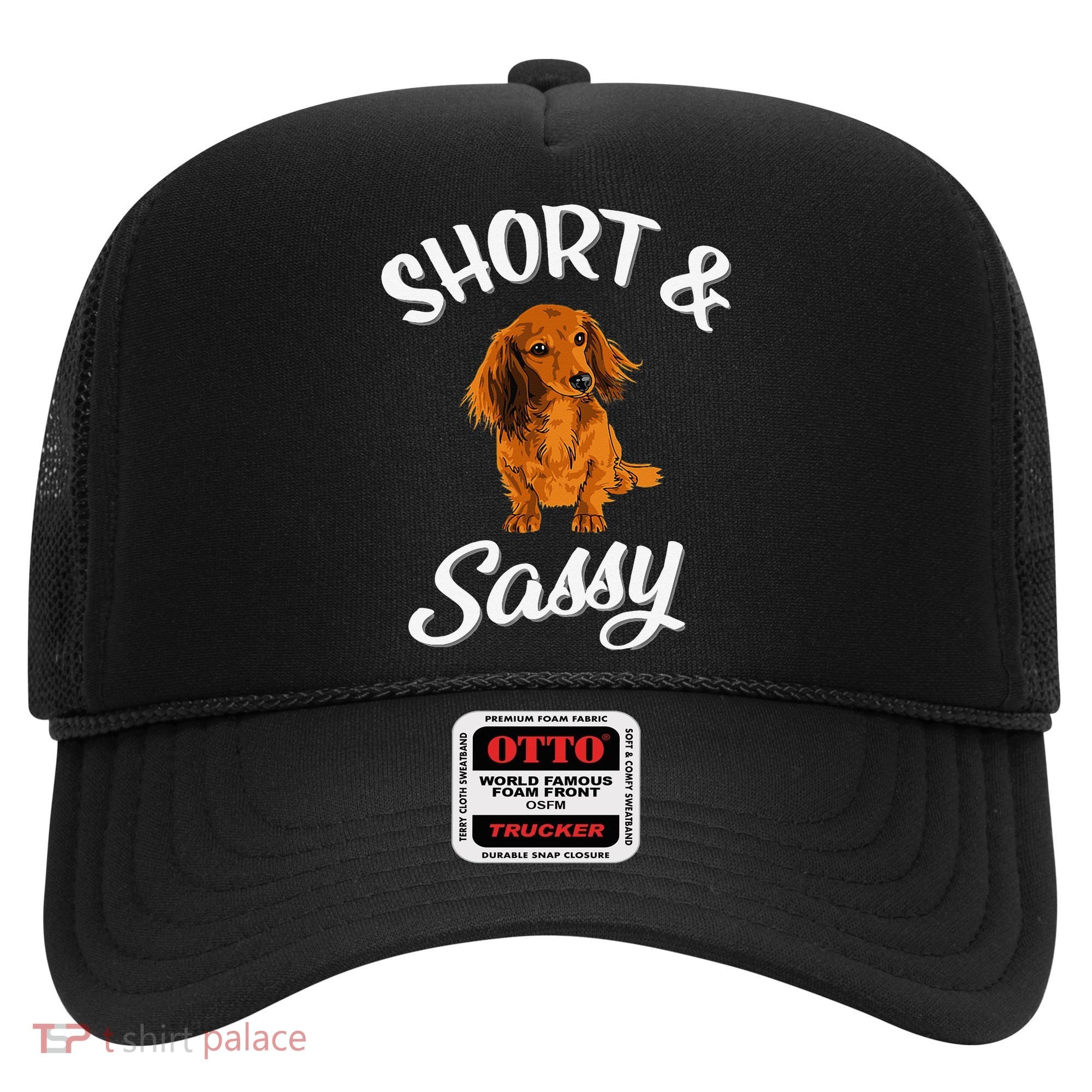 Long Haired Dachshund funny animal lovers Hat