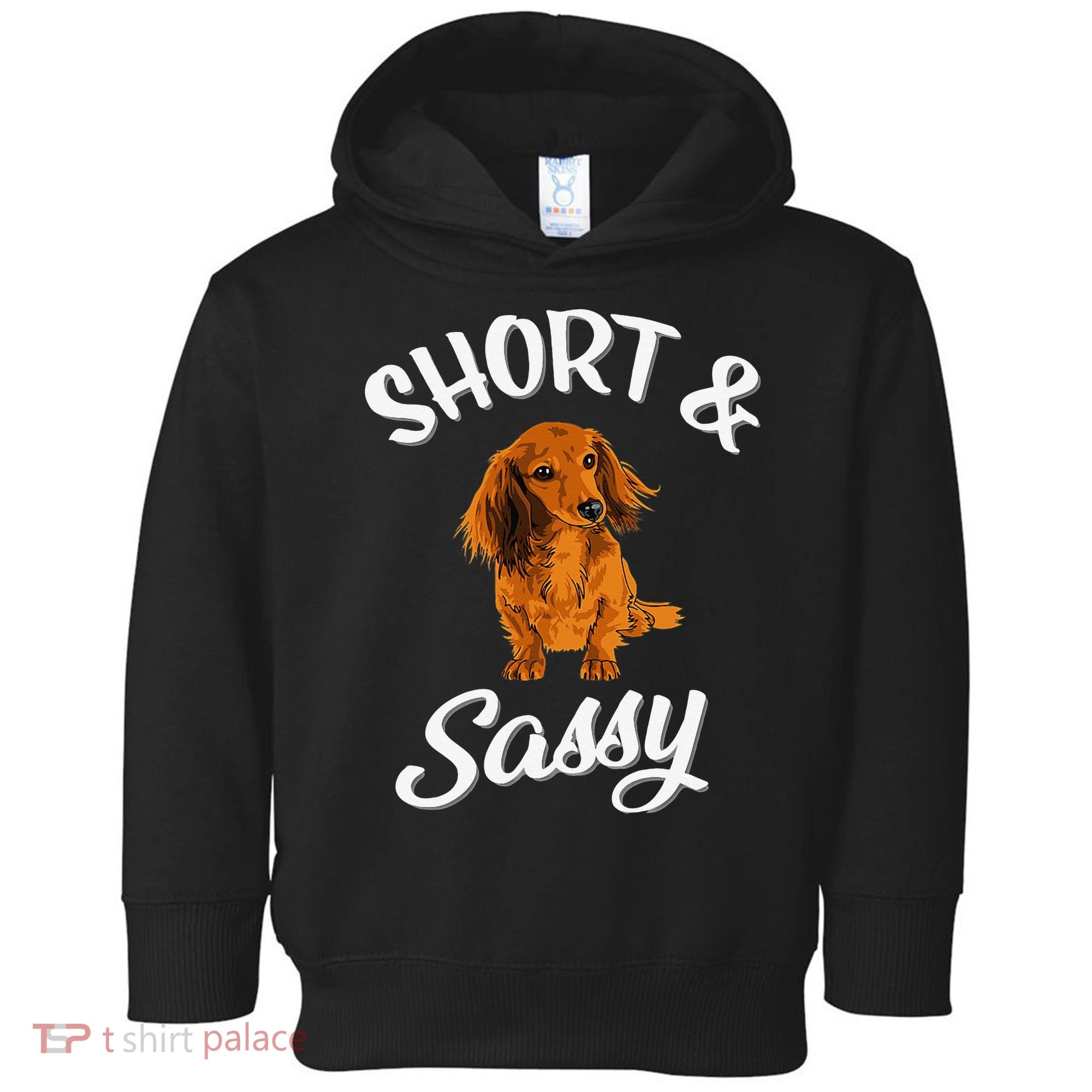 Long Haired Dachshund funny animal lovers Toddler Hoodie