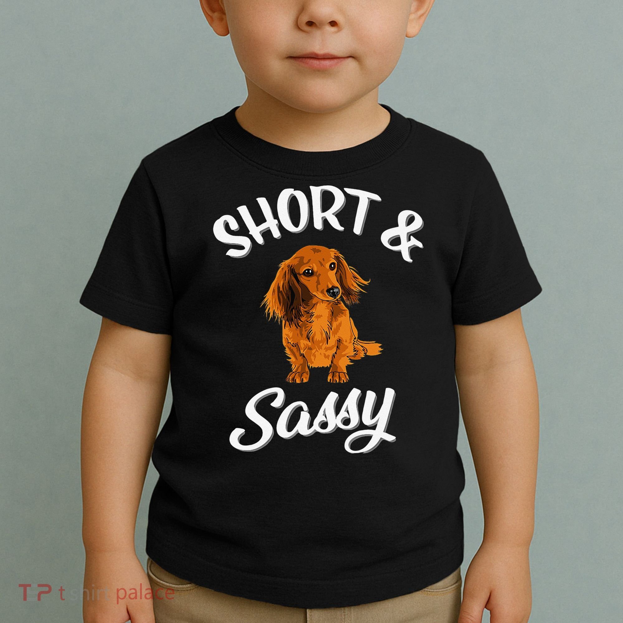 Long Haired Dachshund funny animal lovers Toddler T-Shirt