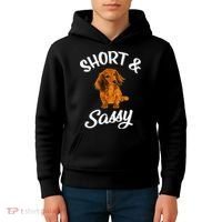 Long Haired Dachshund funny animal lovers Kids Hoodie thumb 4