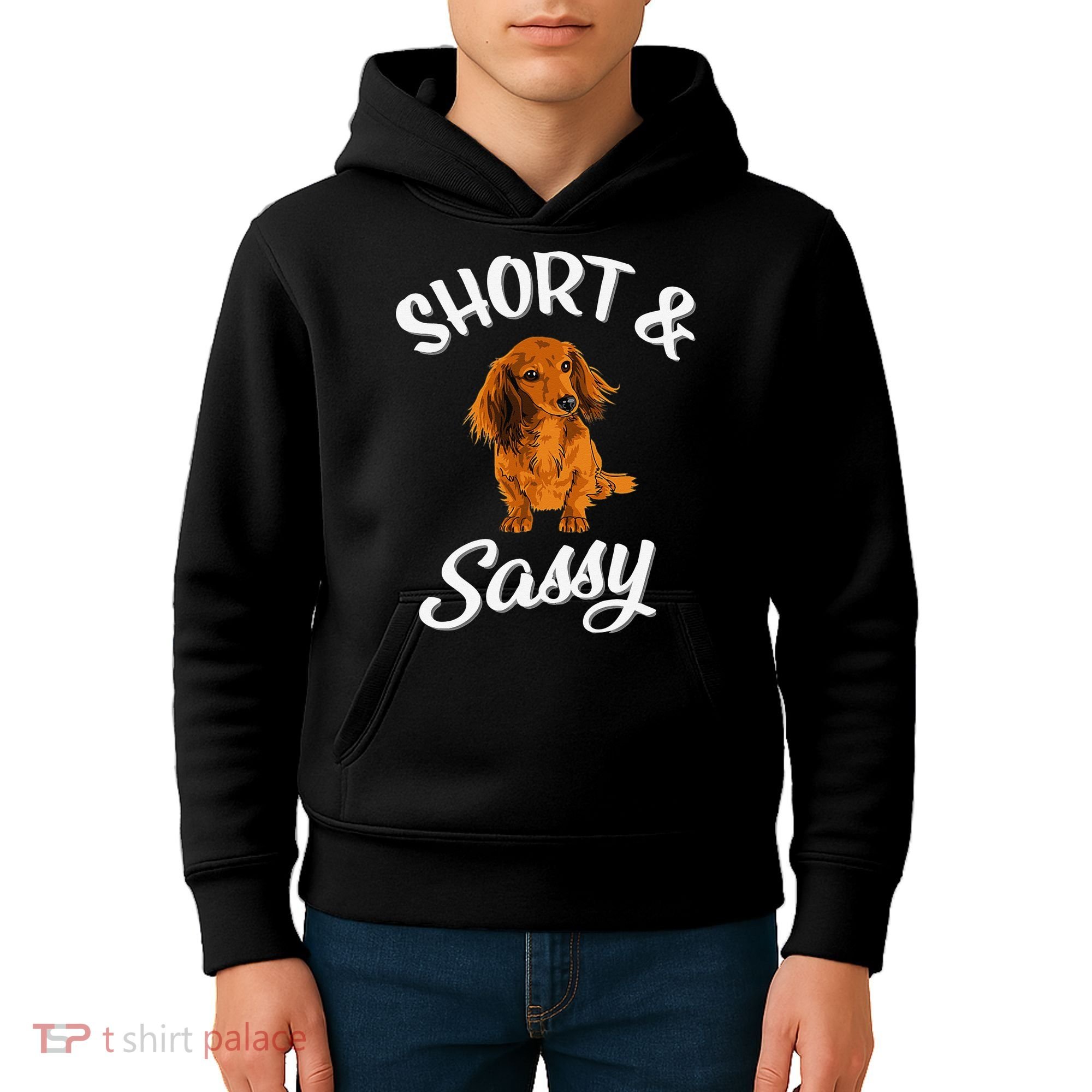 Long Haired Dachshund funny animal lovers Kids Hoodie