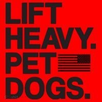 Lift Heavy Pet Dogs Santa Hat thumb 1