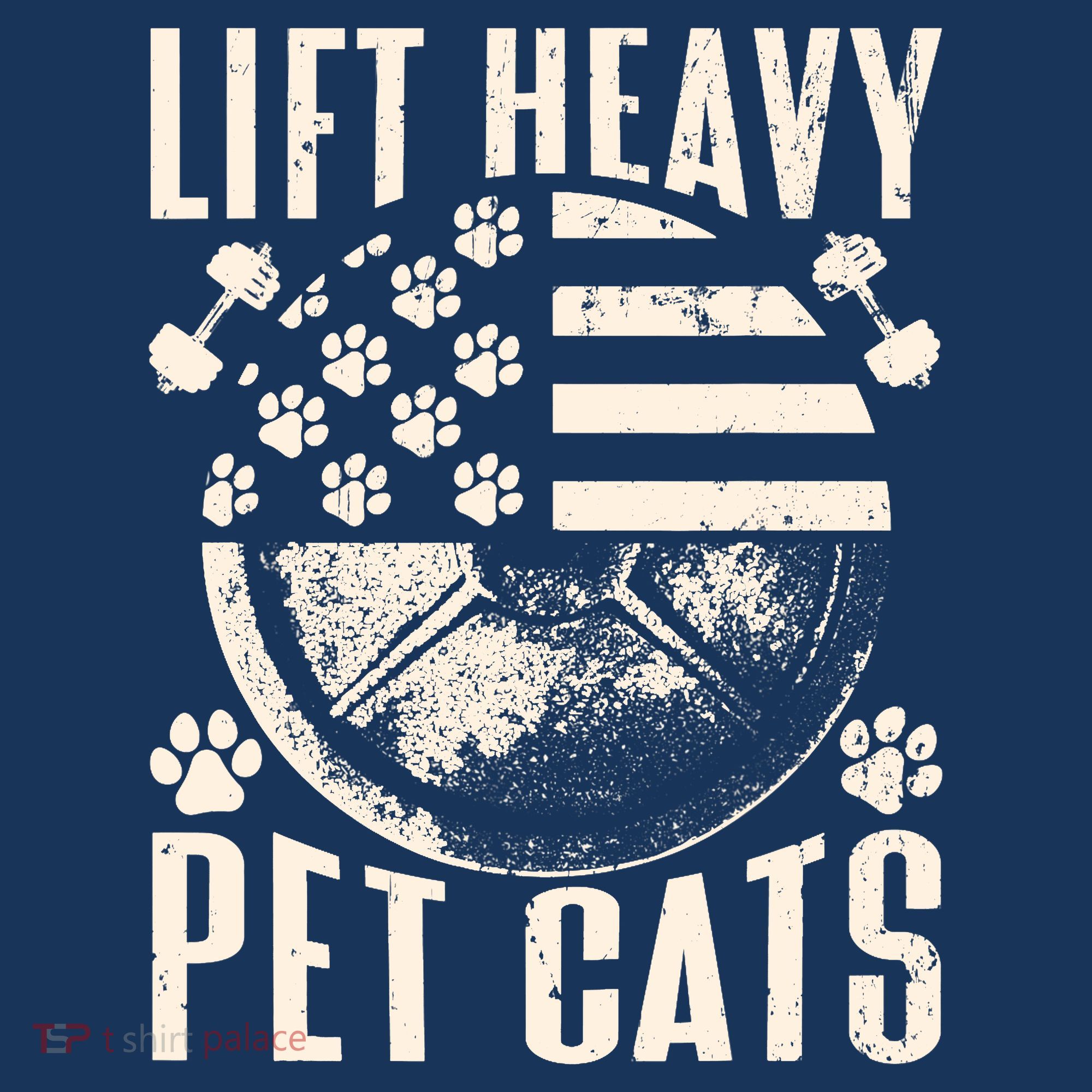 Lift Heavy Pet Cats Weightlifting Cat Weight Lifting Sweatshirt