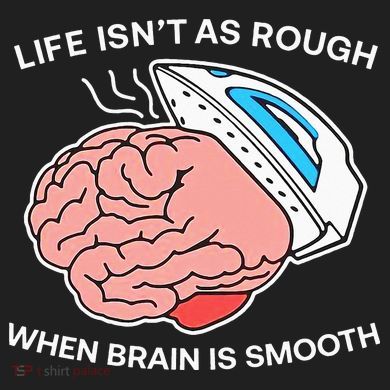 Life Isn’t As Rough When Brain Is Smooth Comfort Colors Heavyweight Long Sleeve T-Shirt