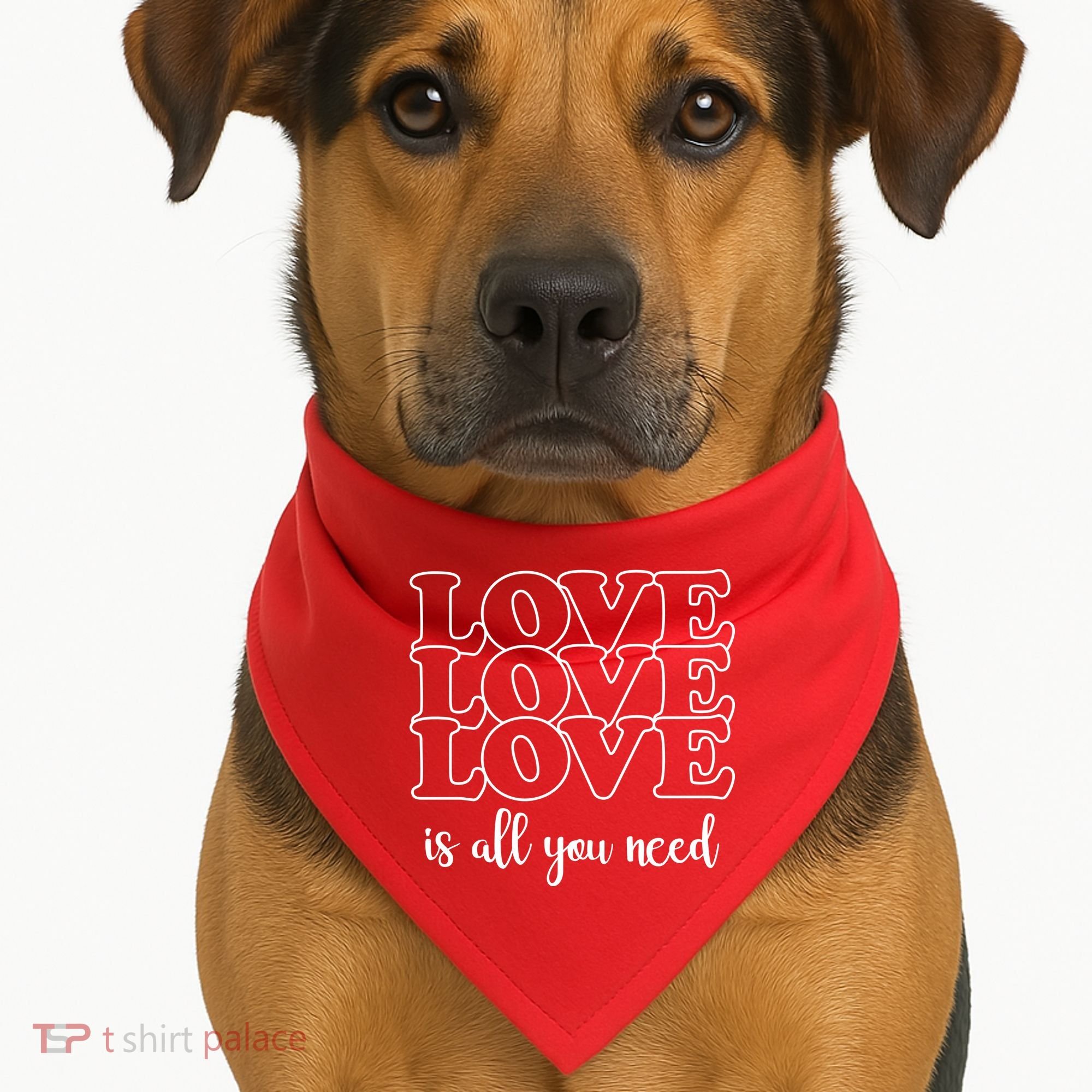 Love Is All You Need USA-Made Doggie Bandana