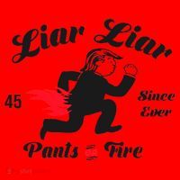 Liar Liar Pants On Fire Anti Trump Santa Hat thumb 1