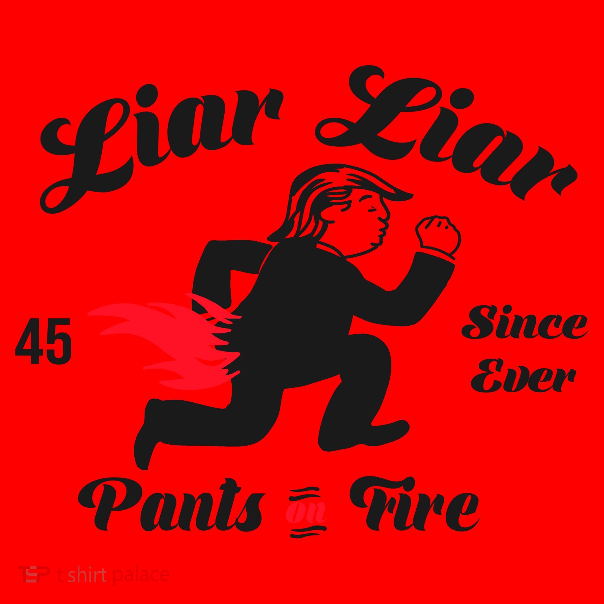 Liar Liar Pants On Fire Anti Trump Santa Hat