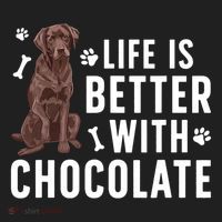 Life Is Better Chocolate Labrador Owner Chocolate Lab Lover Beanie thumb 2