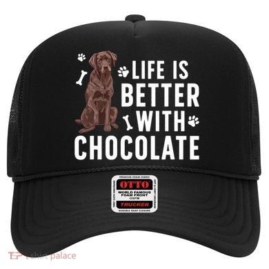 Life Is Better Chocolate Labrador Owner Chocolate Lab Lover Hat
