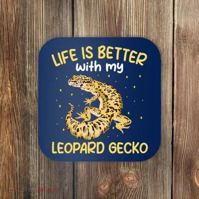 Coaster