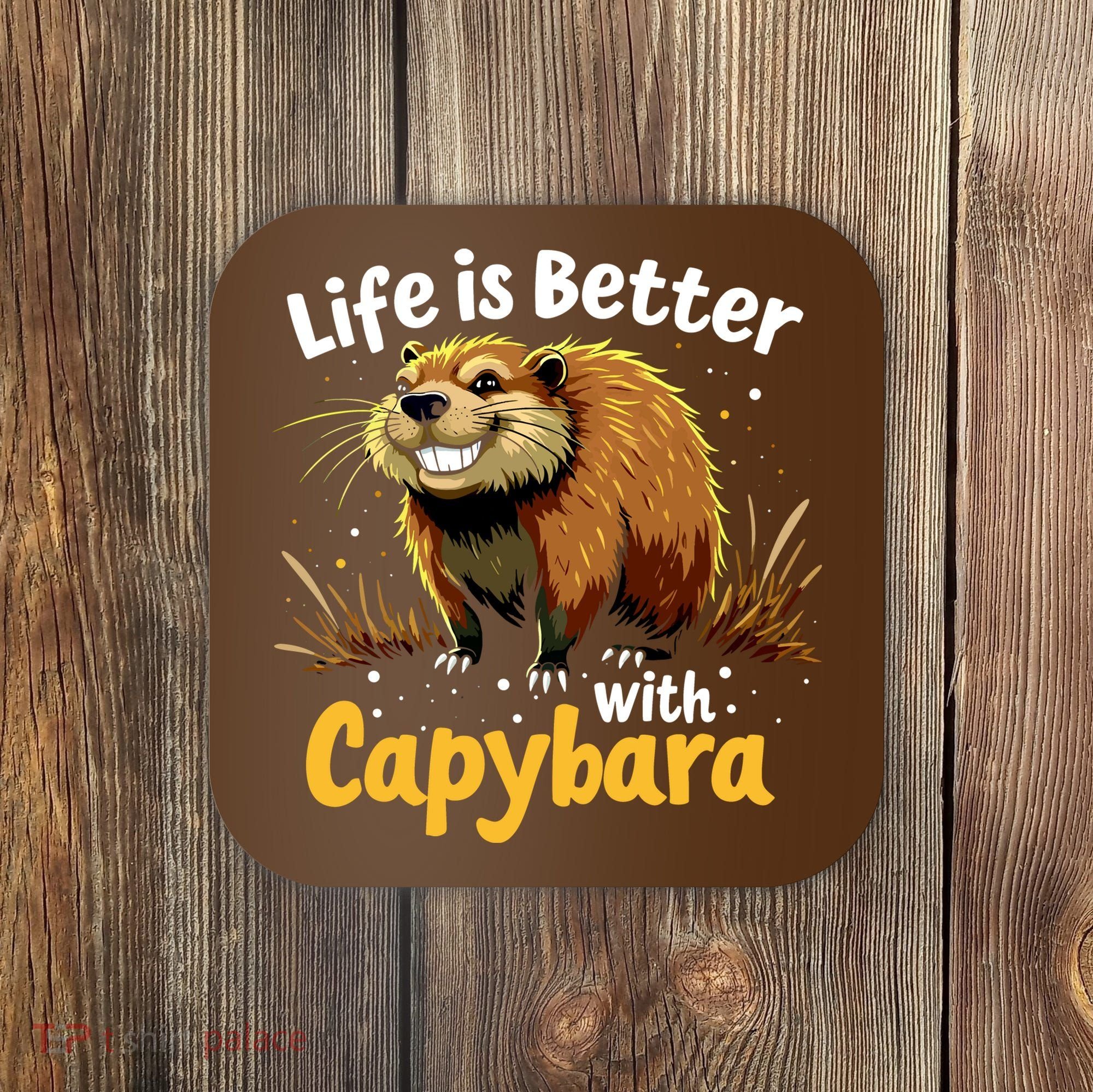 Life Is Better With Capybara Coaster