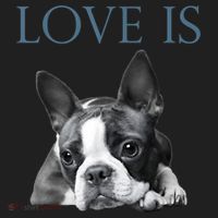 Love Is Boston Terrier Bostie Women's Sweatshirt thumb 2