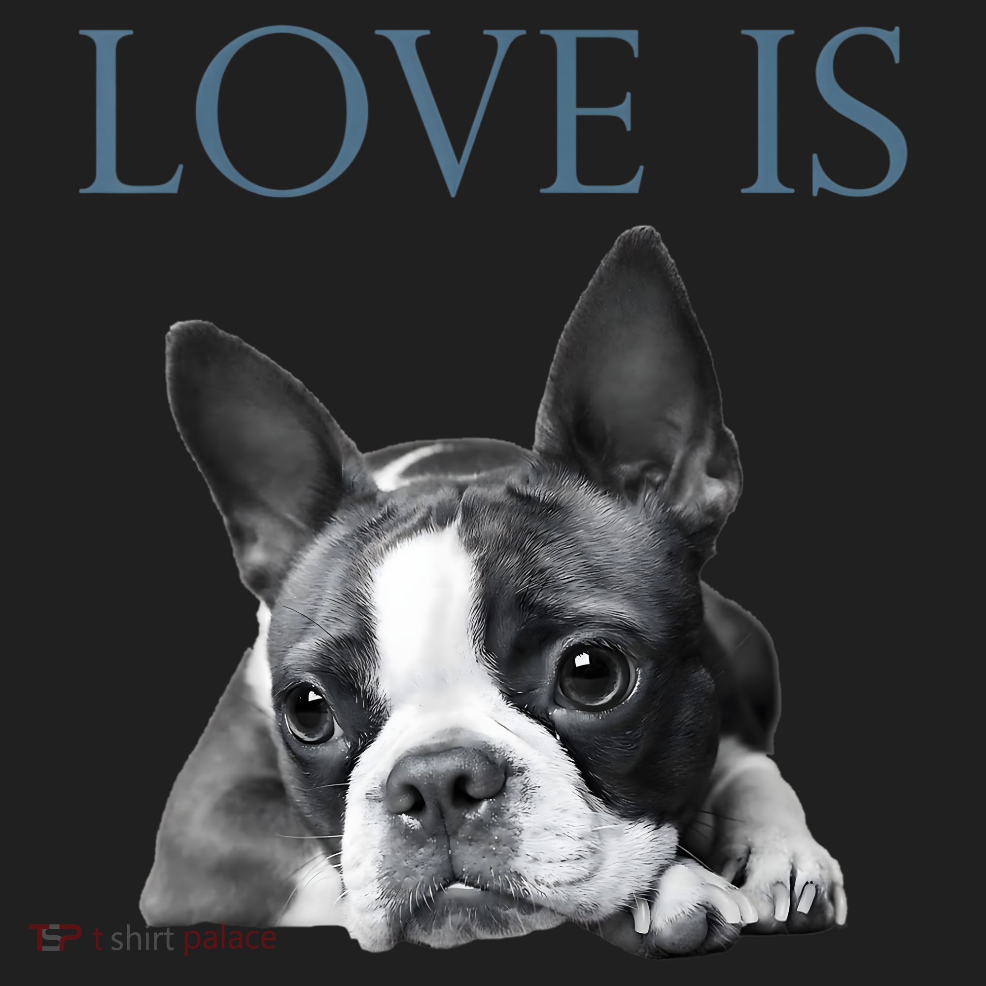 Love Is Boston Terrier Bostie Women's Sweatshirt